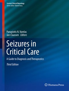 Seizures in Critical Care (eBook, PDF)