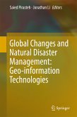 Global Changes and Natural Disaster Management: Geo-information Technologies (eBook, PDF)