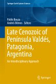 Late Cenozoic of Península Valdés, Patagonia, Argentina (eBook, PDF)