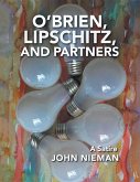 O'Brien, Lipschitz, and Partners (eBook, ePUB)