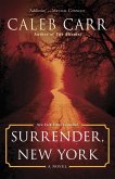 Surrender, New York (eBook, ePUB)
