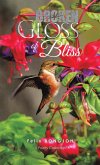 Broken Gloss of Bliss (eBook, ePUB)