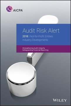 Cover Audit Risk Alert (eBook, PDF)