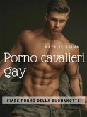 Porno cavalieri gay (eBook, ePUB)