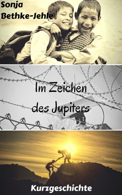 Im Zeichen des Jupiters (eBook, ePUB) - Bethke-Jehle, Sonja