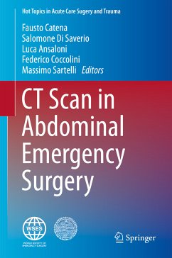 CT Scan in Abdominal Emergency Surgery (eBook, PDF)