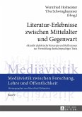 Literatur-Erlebnisse zwischen Mittelalter und Gegenwart (eBook, ePUB)