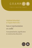 Sens et representation en conflit (eBook, PDF)