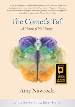 The Comet's Tail (eBook, ePUB)