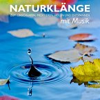 Naturklänge mit Musik - zum Einschlafen, Meditieren, Heilen und Entspannen (MP3-Download)