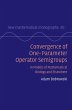 Convergence of One-Parameter Operator... - Bild 1