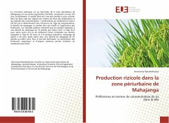 Production rizicole dans la zone périurbaine de Mahajanga - Ramahefarison, Heriniaina