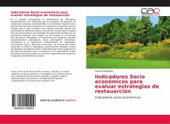 Indicadores Socio económicos para evaluar estrategias de restauarción - Rebolledo, Sandra