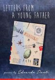 Letters from a Young Father (eBook, ePUB)