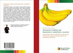 Semente sintética de bananeira: substrato x auxina