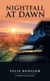 Nightfall at Dawn (eBook, ePUB)