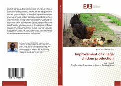 Improvement of village chicken production - Kondombo, Salam Richard