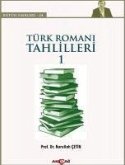 Türk Romani Tahlilleri 1