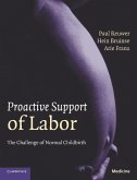 Proactive Support of Labor (eBook, ePUB)