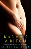 Karma's a Bitch: A Gender-Swap Gangbang (eBook, ePUB)