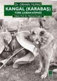 Kangal Karabas Türk Coban Köpegi