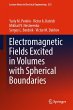 Electromagnetic Fields Excited in... - Bild 1