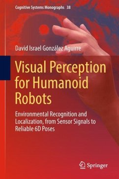 Visual Perception for Humanoid Robots - González Aguirre, David Israel