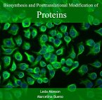 Biosynthesis and Posttranslational Modification of Proteins (eBook, PDF)