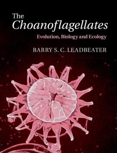 Cover Choanoflagellates (eBook, ePUB)