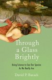Through a Glass Brightly (eBook, ePUB)