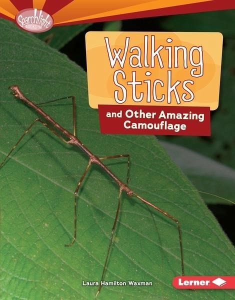 Walking Sticks and Other Amazing Camouflage (eBook, PDF)