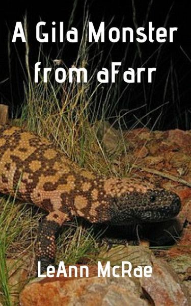 A Gila Monster from aFarr (eBook, ePUB)