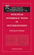 Nonlinear Hyperbolic Waves in... - Bild 1