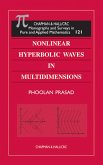 Nonlinear Hyperbolic Waves in Multidimensions (eBook, PDF)