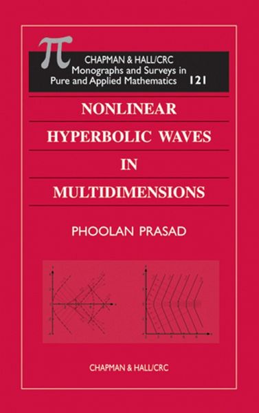 Nonlinear Hyperbolic Waves in Multidimensions (eBook, PDF)