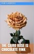 The Cairo Rose is Chocolate Pink... - Bild 1