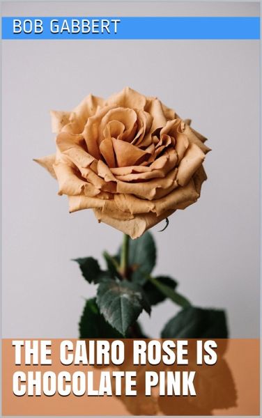 The Cairo Rose is Chocolate Pink (eBook, ePUB)
