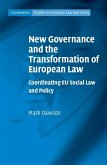 New Governance and the Transformation of European Law (eBook, ePUB)