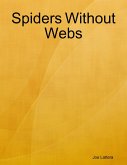 Spiders Without Webs (eBook, ePUB)