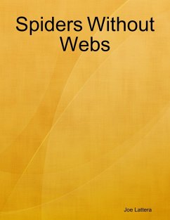 Cover Spiders Without Webs (eBook, ePUB)