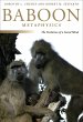 Baboon Metaphysics (eBook, PDF) - Bild 1