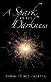 A Spark in the Darkness
