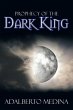 Prophecy of the Dark King - Bild 1
