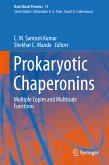 Prokaryotic Chaperonins (eBook, PDF)