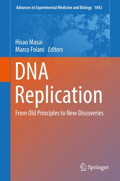 DNA Replication (eBook, PDF)