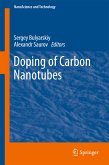 Doping of Carbon Nanotubes (eBook, PDF)