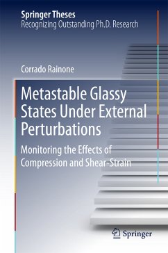 Metastable Glassy States Under External Perturbations (eBook, PDF) - Rainone, Corrado