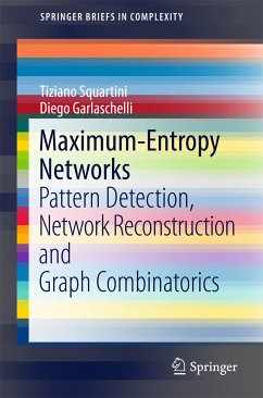 Maximum-Entropy Networks (eBook, PDF) - Squartini, Tiziano; Garlaschelli, Diego