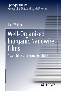 Well-Organized Inorganic Nanowire Films (eBook, PDF) - Liu, Jian-Wei