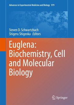 Euglena: Biochemistry, Cell and Molecular Biology (eBook, PDF)